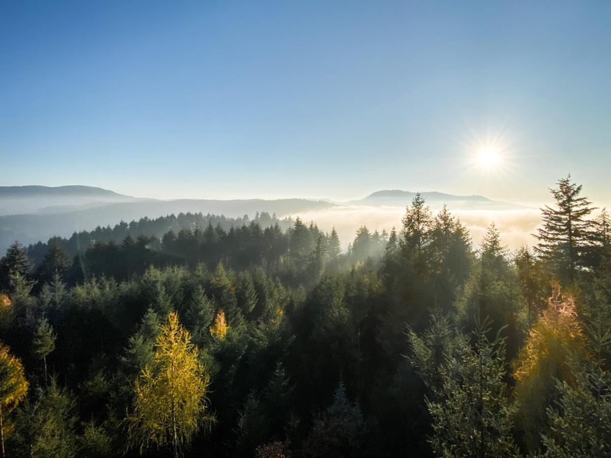 Ferienwohnung Vergissmeinnicht Gengenbach Bagian luar foto